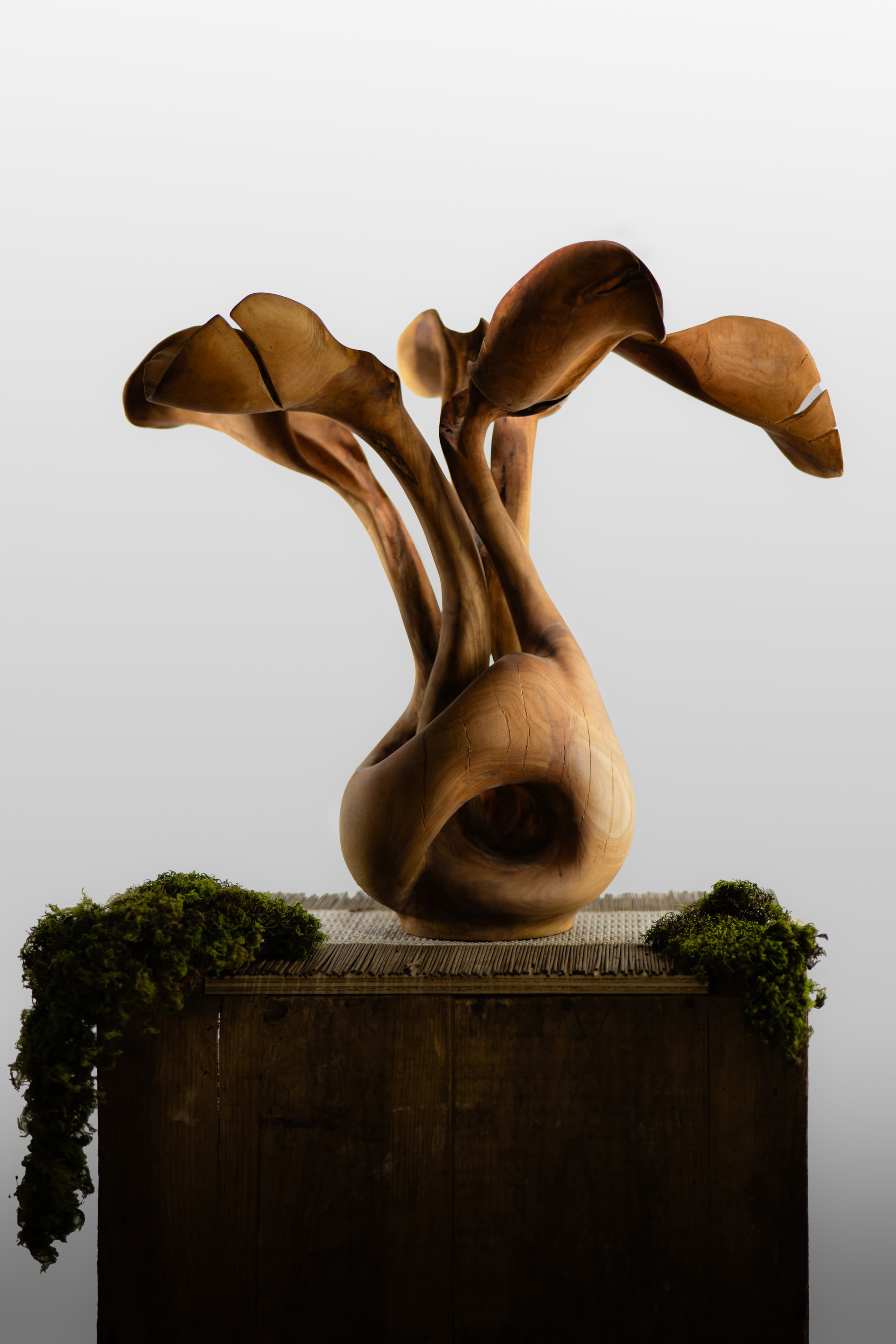 Projet atelier Meraki